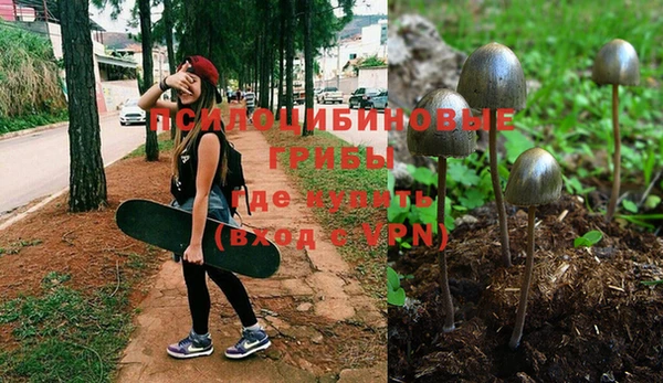 кристаллы Абаза