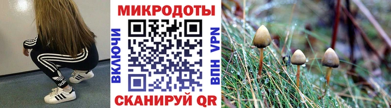 Галлюциногенные грибы Cubensis  купить закладку  Энем 